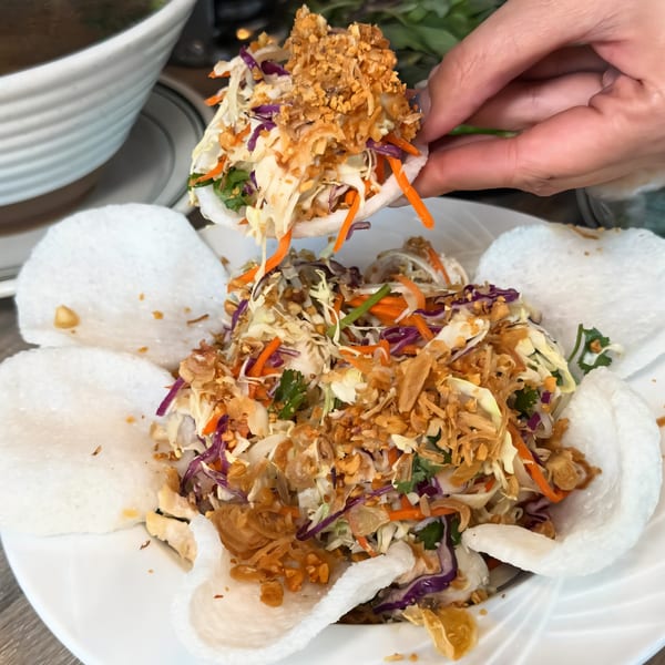 A hand holding a crispy rice cracker filled with a vibrant Vietnamese salad, topped with fried shallots.
